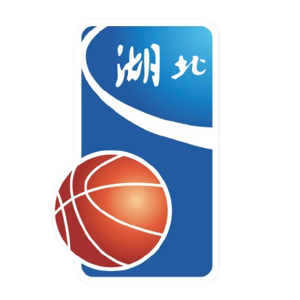 湖北全运女篮队标,湖北全运女篮图片